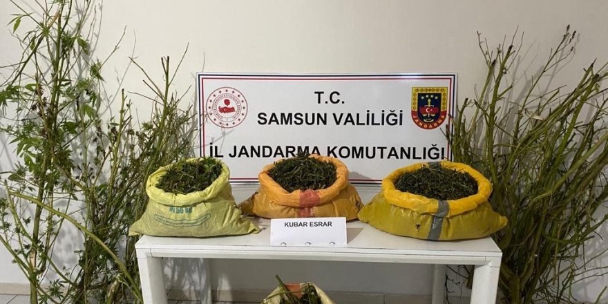 Samsun'da uyuşturucu operasyonu! Kilolarca kubar esrar ele geçirildi - samsun haber