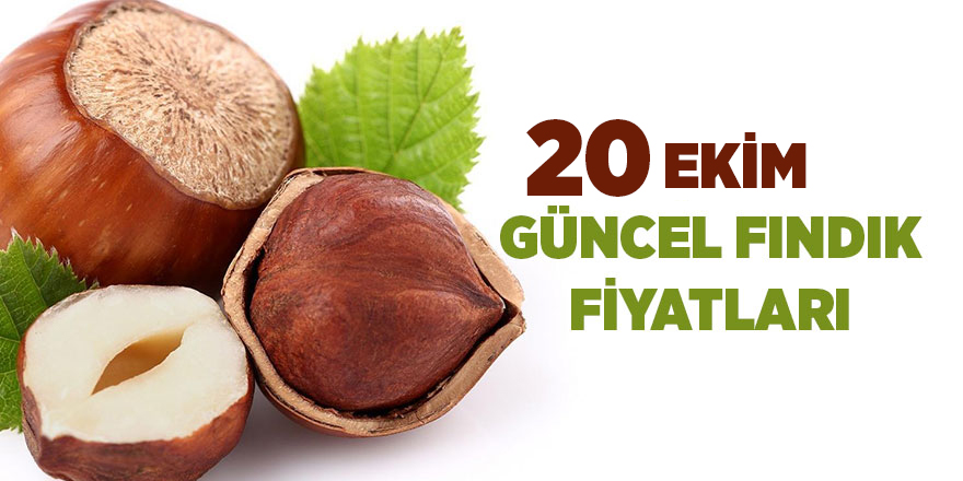 20 Ekim güncel fındık fiyatları