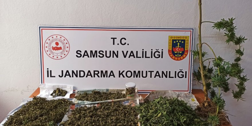 Samsun'da jandarmadan uyuşturucu operasyonu - samsun haber