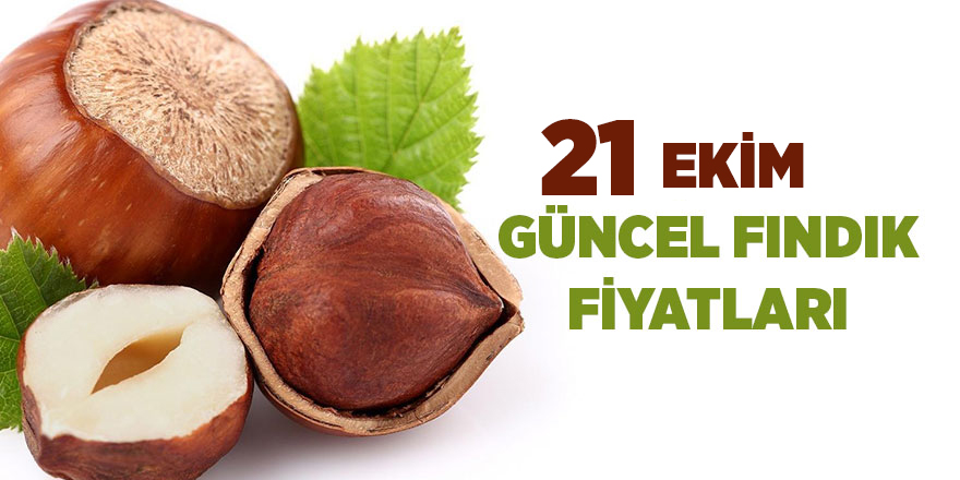 21 Ekim güncel fındık fiyatları