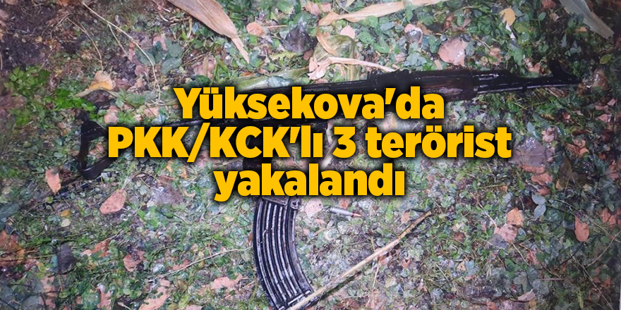 Yüksekova'da PKK/KCK'lı 3 terörist yakalandı