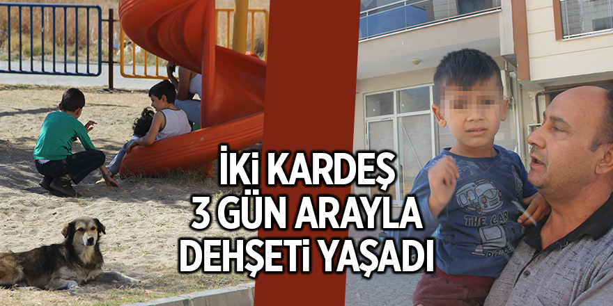 İki kardeş 3 gün arayla dehşeti yaşadı