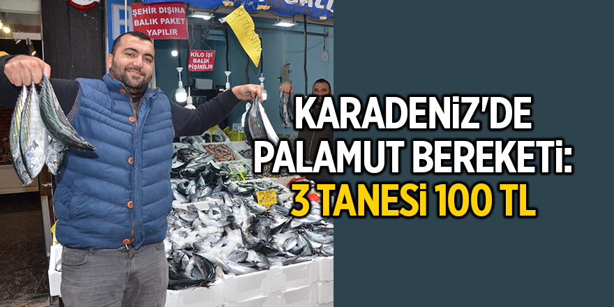 Karadeniz'de palamut bereketi: 3 tanesi 100 TL