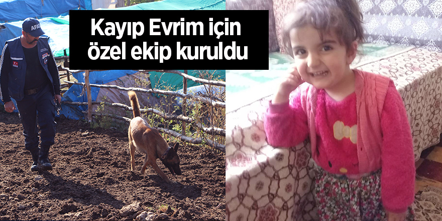 Kayıp Evrim için özel ekip kuruldu