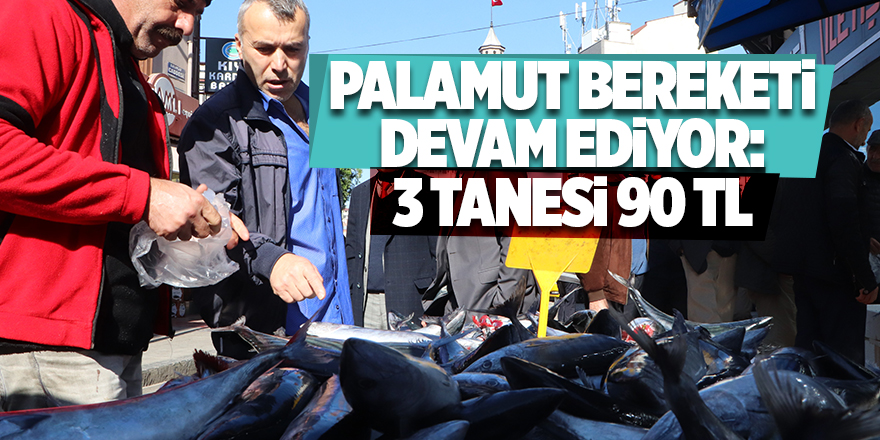 Palamut bereketi devam ediyor: 3 tanesi 90 TL