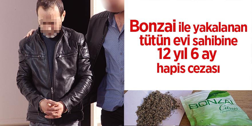 Bonzai ile yakalanan tütün evi sahibine 12 yıl 6 ay hapis cezası