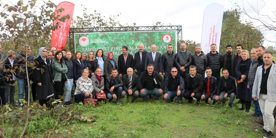 Samsun İl Tarım ve Orman Müdürlüğü personeline fındık eğitimi - samsun haber