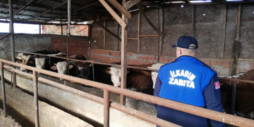 İlkadım'da ahırlara denetim - samsun haber