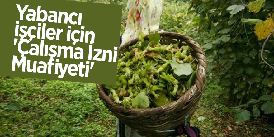 Yabancı işçiler için 'Çalışma İzni Muafiyeti' 