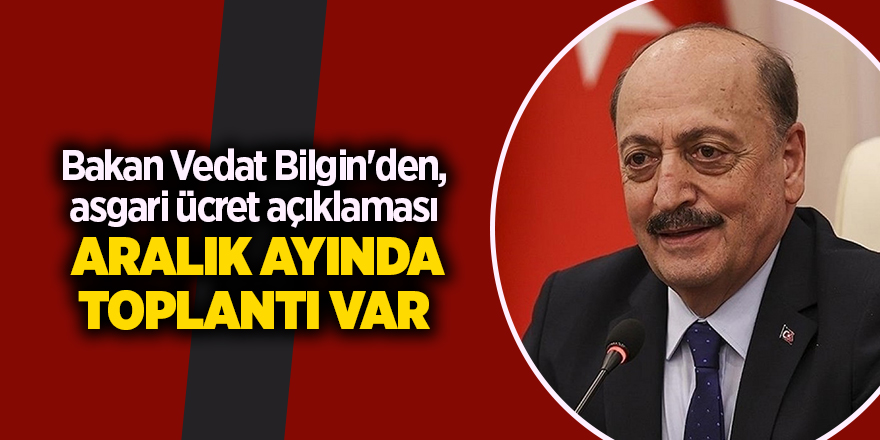 Bakan Vedat Bilgin'den, asgari ücret açıklaması  Aralık ayında toplantı var