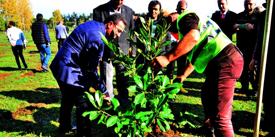 Terme’de fidanlar toprakla buluştu - samsun haber