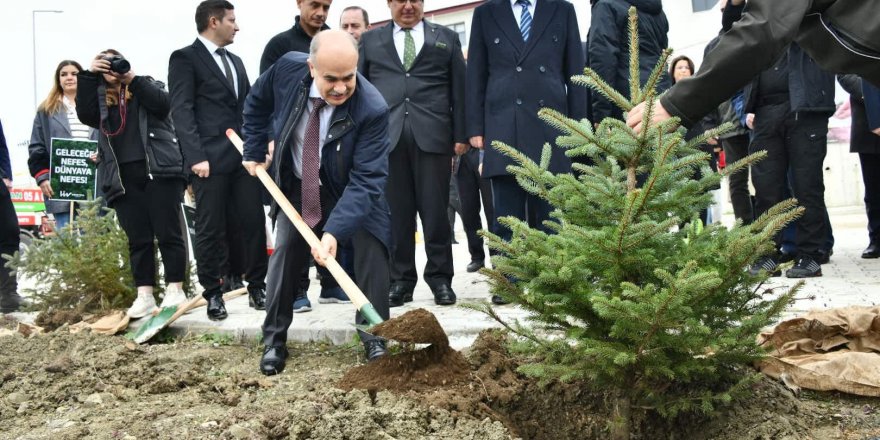 Samsun’da 100 bin fidan toprakla buluştu - samsun haber