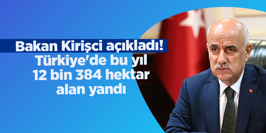 Bakan Kirişci açıkladı!  Türkiye'de bu yıl 12 bin 384 hektar alan yandı