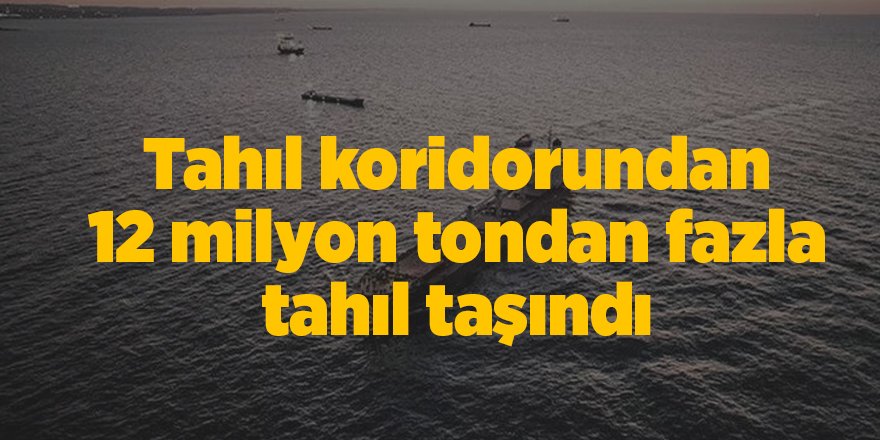 Tahıl koridorundan 12 milyon tondan fazla tahıl taşındı