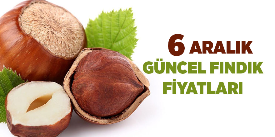 6 Aralık güncel fındık fiyatları