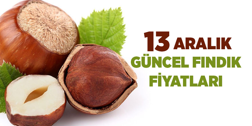 13 Aralık güncel fındık fiyatları