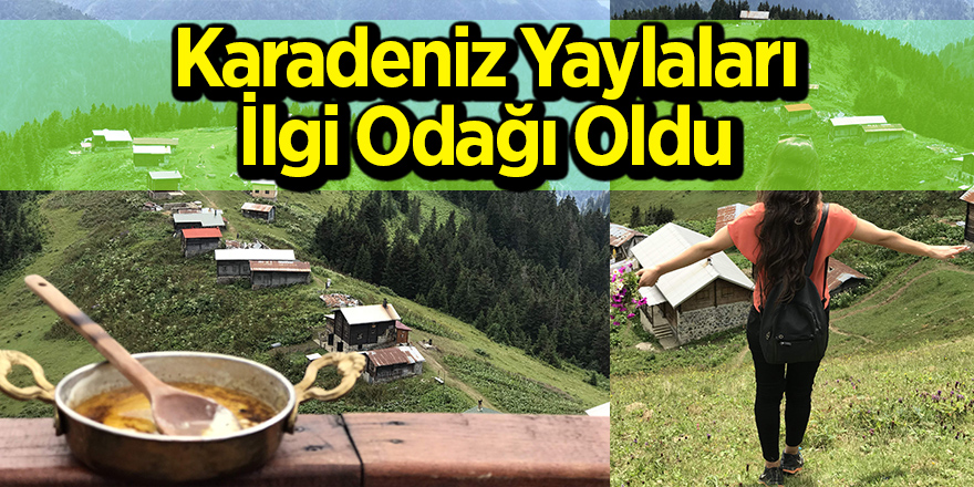 Herkes bu yaylalara koşuyor