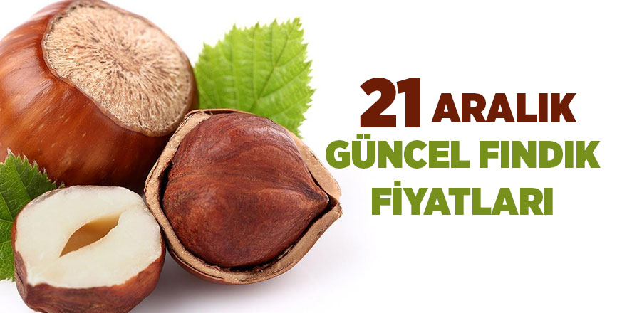 21 Aralık güncel fındık fiyatları