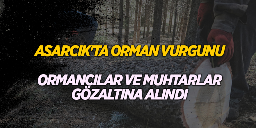 ASARCIK'TA ORMAN VURGUNU