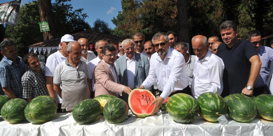 Bafra’da kavun karpuz festivali