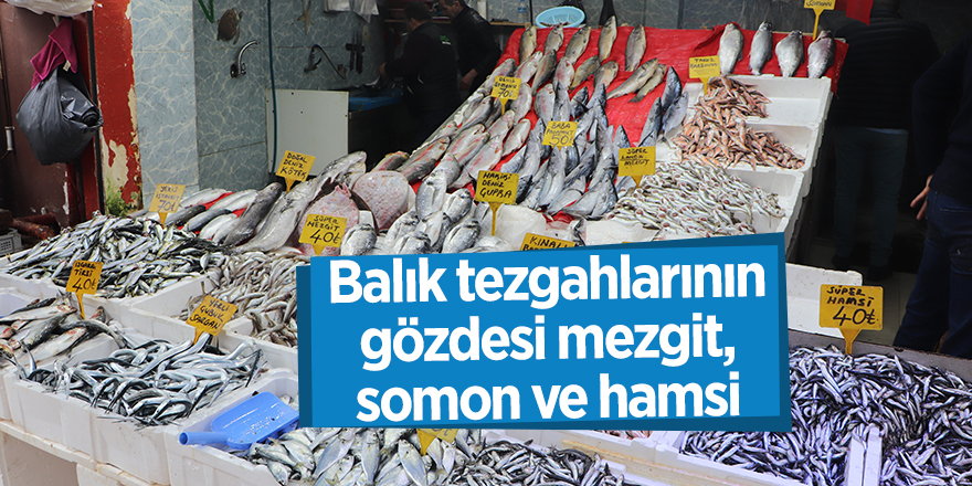 Balık tezgahlarının gözdesi mezgit, somon ve hamsi - samsun