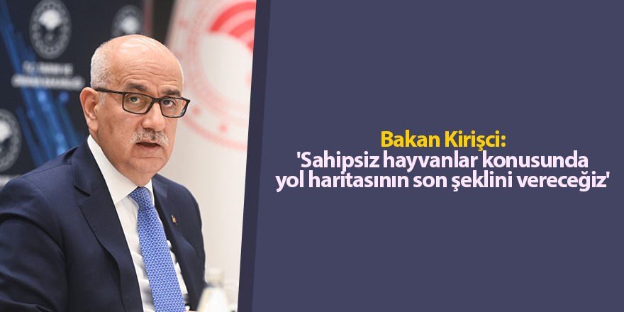 Bakan Kirişci: 'Sahipsiz hayvanlar konusunda yol haritasının son şeklini vereceğiz'