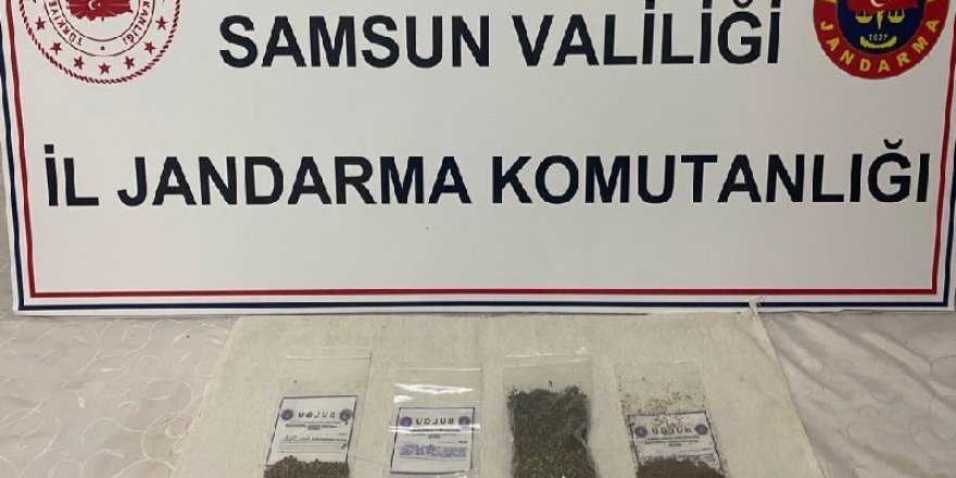 Samsun'da jandarmadan 6 ilçeye uyuşturucu operasyonu - samsun haber