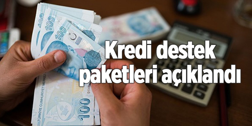 Kredi destek paketleri açıklandı