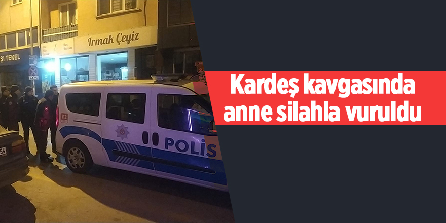 Kardeş kavgasında anne silahla vuruldu