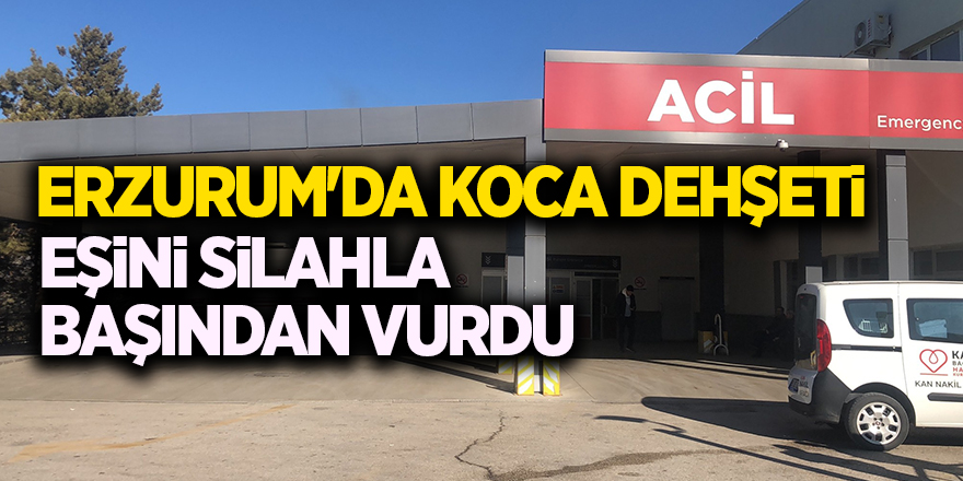 Erzurum'da koca dehşeti