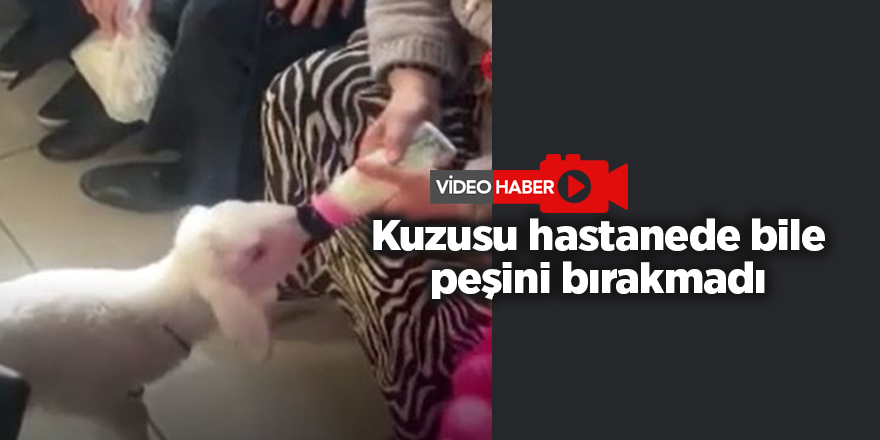 Kuzusu hastanede bile peşini bırakmadı