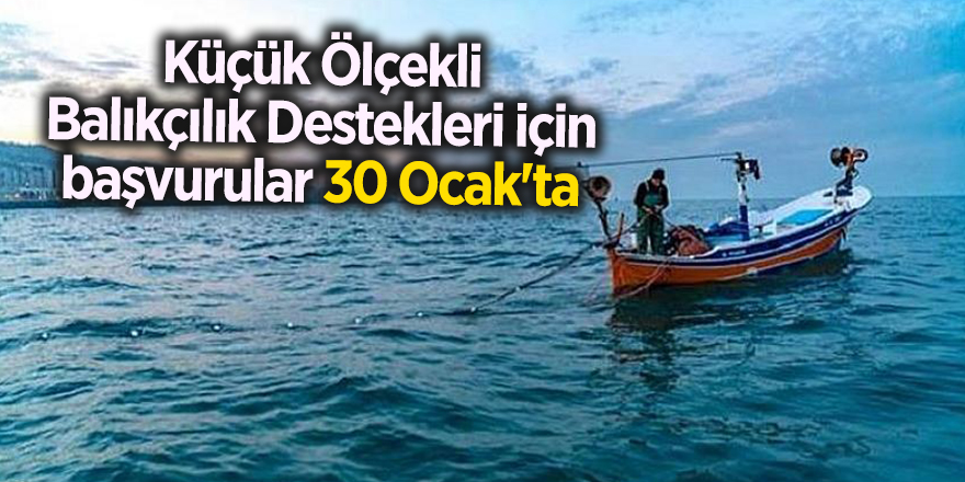 Küçük Ölçekli Balıkçılık Destekleri için başvurular 30 Ocak'ta