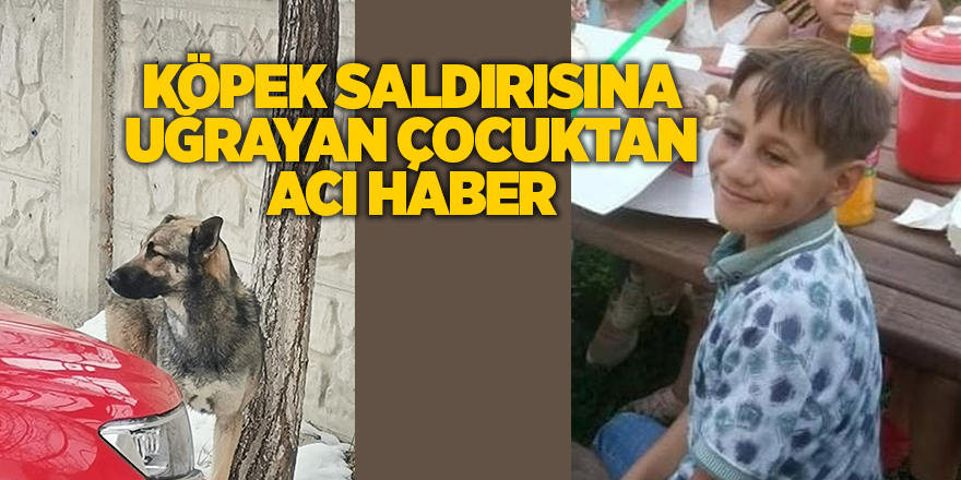 Köpek saldırısına uğrayan çocuktan acı haber