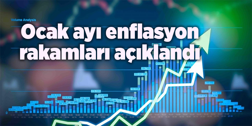 Ocak ayı enflasyon rakamları açıklandı