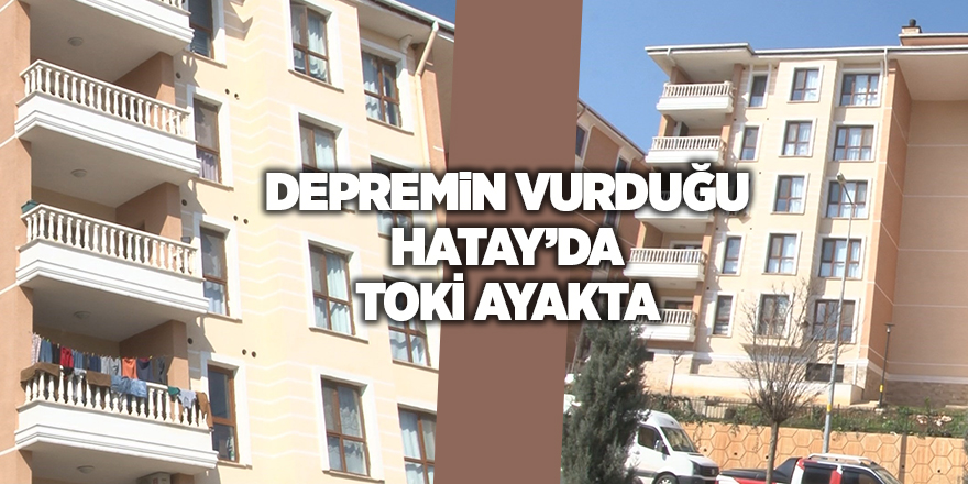 Depremin vurduğu Hatay’da TOKİ ayakta