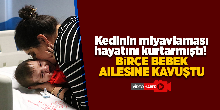 Kedinin miyavlaması hayatını kurtarmıştı!  Birce bebek ailesine kavuştu