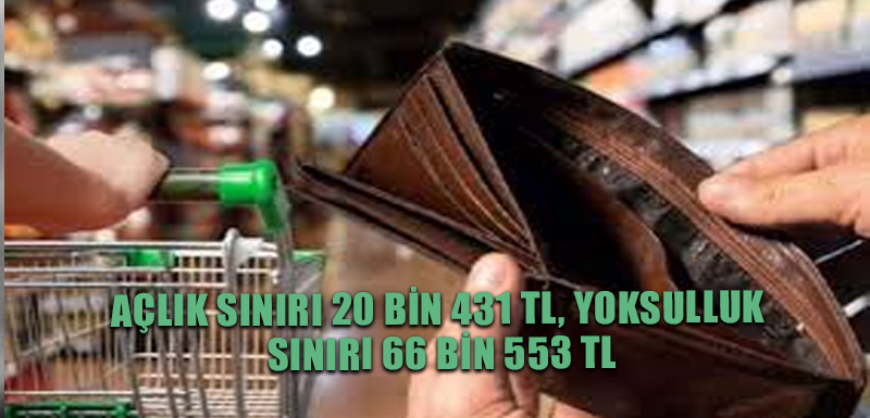 Açlık sınırı 20 bin 431 TL, yoksulluk sınırı 66 bin 553 TL