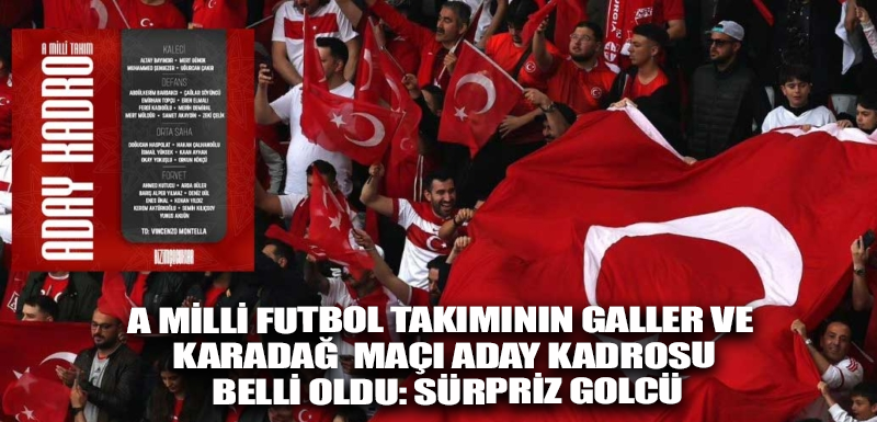 A Milli Futbol Takımının Galler ve Karadağ maçı aday kadrosu belli oldu: Sürpriz golcü