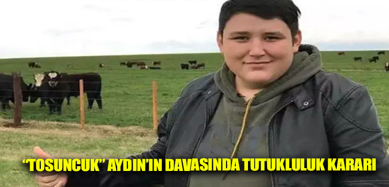 “Tosuncuk” Aydın’ın davasında tutukluluk kararı