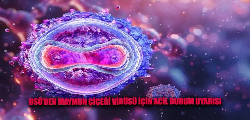 DSÖ’den maymun çiçeği virüsü için acil durum uyarısı