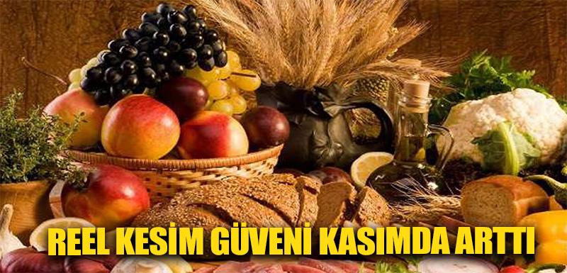 Reel kesim güveni kasımda arttı