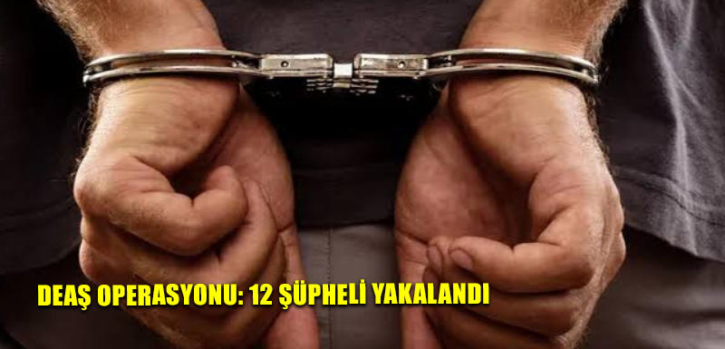 DEAŞ Operasyonu: 12 şüpheli yakalandı