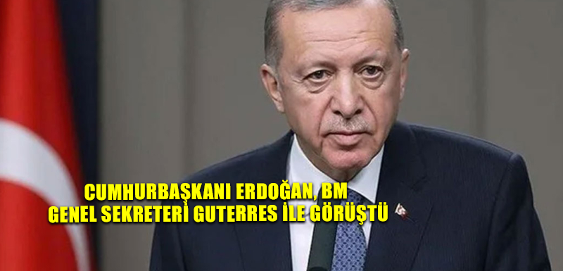 Cumhurbaşkanı Erdoğan, BM Genel Sekreteri Guterres ile görüştü