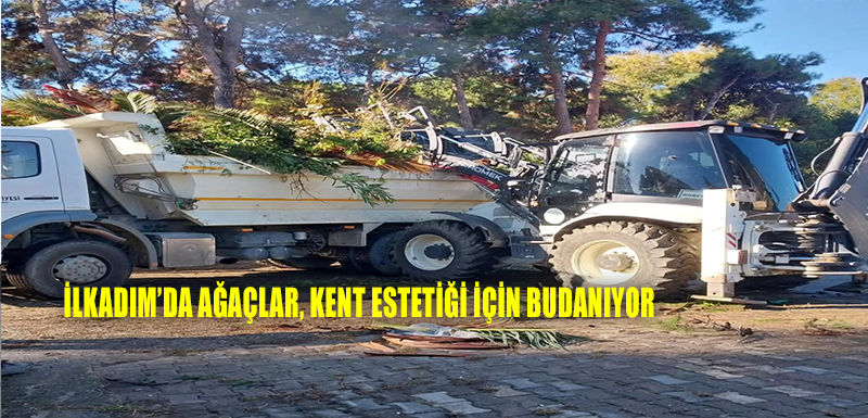 İlkadım’da ağaçlar, kent estetiği için budanıyor