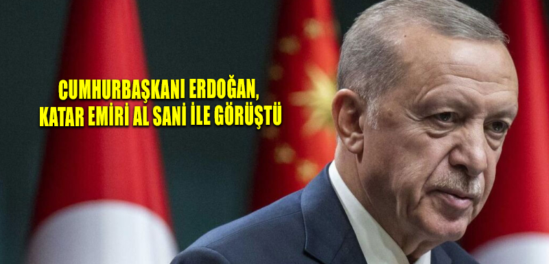 Cumhurbaşkanı Erdoğan, Katar Emiri Al Sani ile görüştü