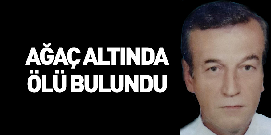 Ağaç altında ölü bulundu