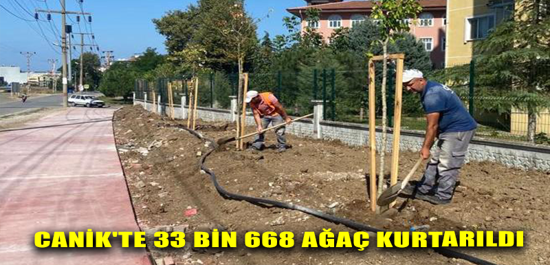 Canik'te 33 bin 668 Ağaç Kurtarıldı