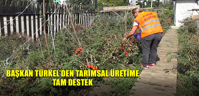 Başkan Türkel’den tarımsal üretime  tam destek