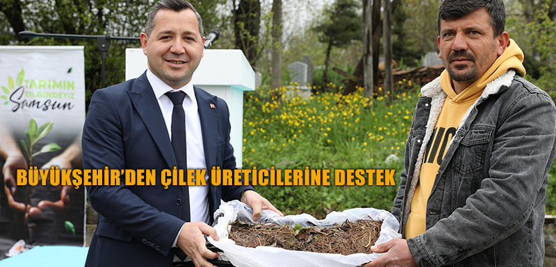 BÜYÜKŞEHİR’DEN ÇİLEK ÜRETİCİLERİNE DESTEK