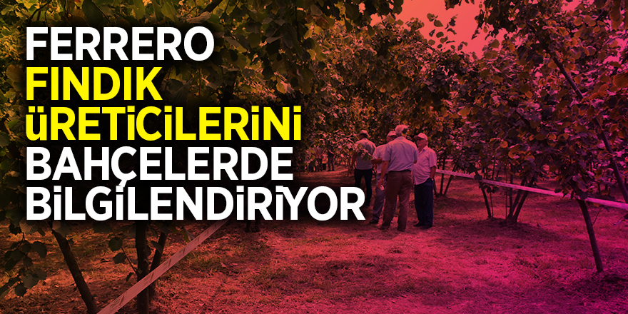 Ferrero, fındık üreticilerini bahçelerde bilgilendiriyor